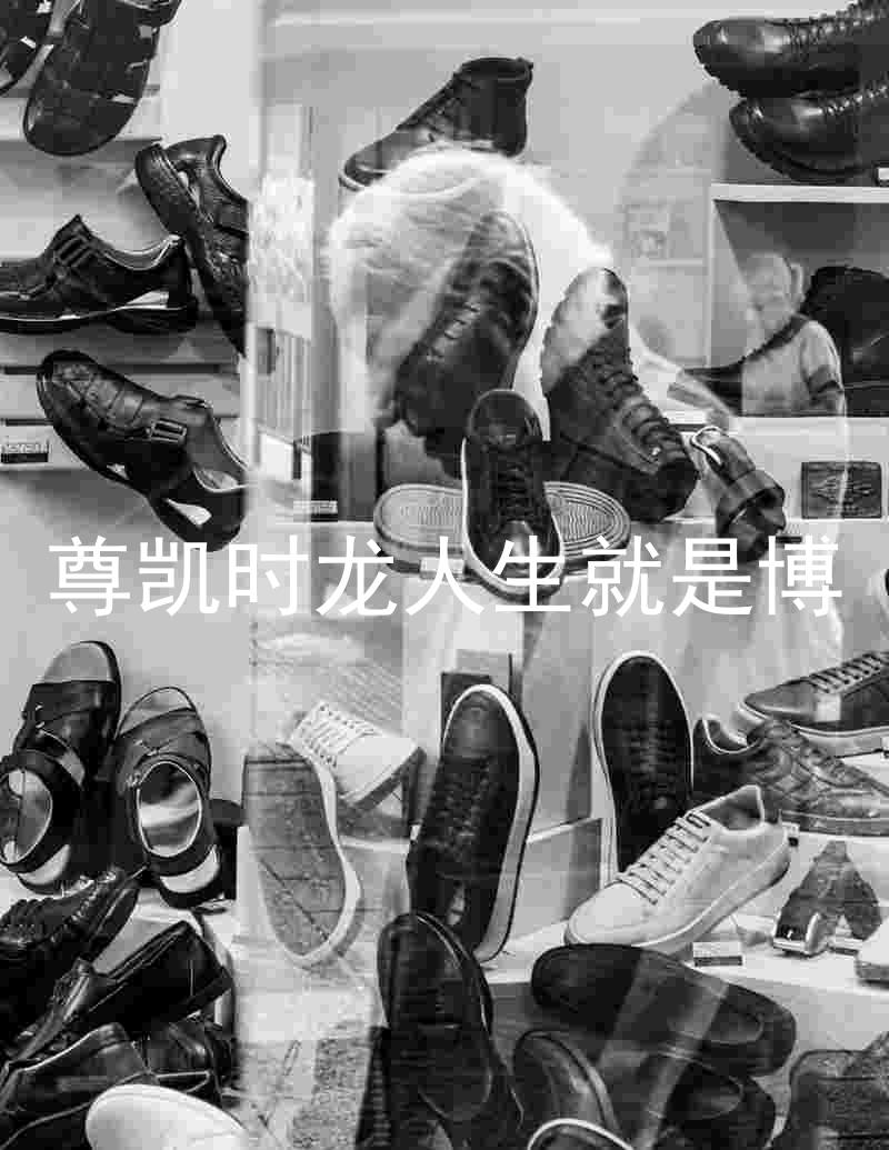 尊凯时龙人生就是博