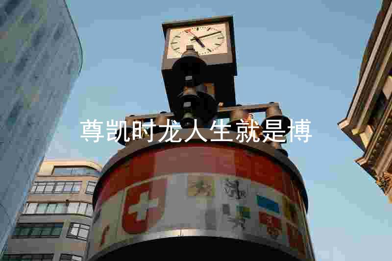 尊凯时龙人生就是博