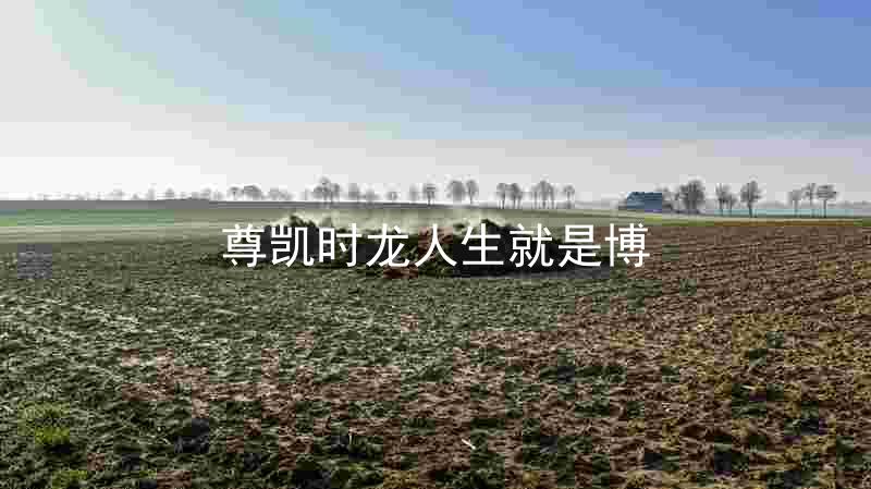 尊凯时龙人生就是博
