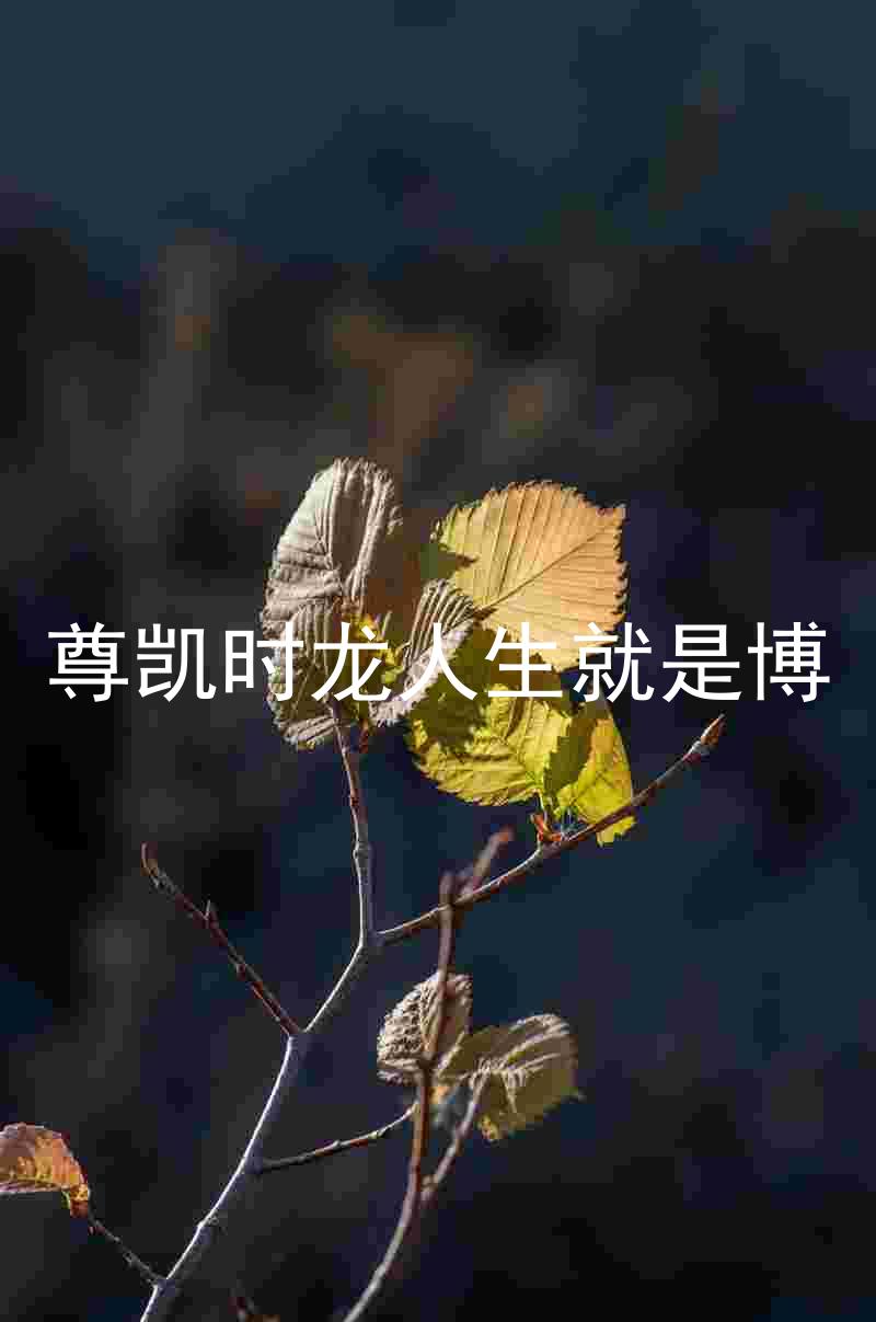 尊凯时龙人生就是博