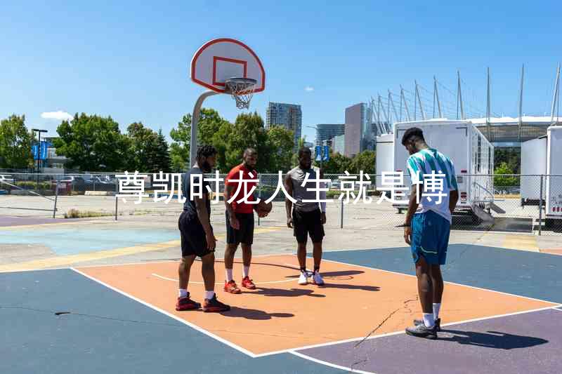 尊凯时龙人生就是博