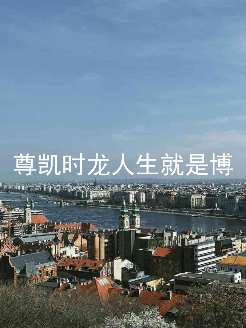 尊凯时龙人生就是博
